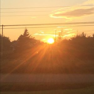 Meet your Posher, Alison